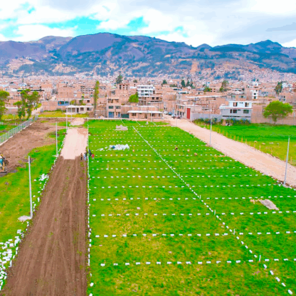 AJOSCANCHA – RESIDENCIAL LOS MEDICOS - Imagen 5