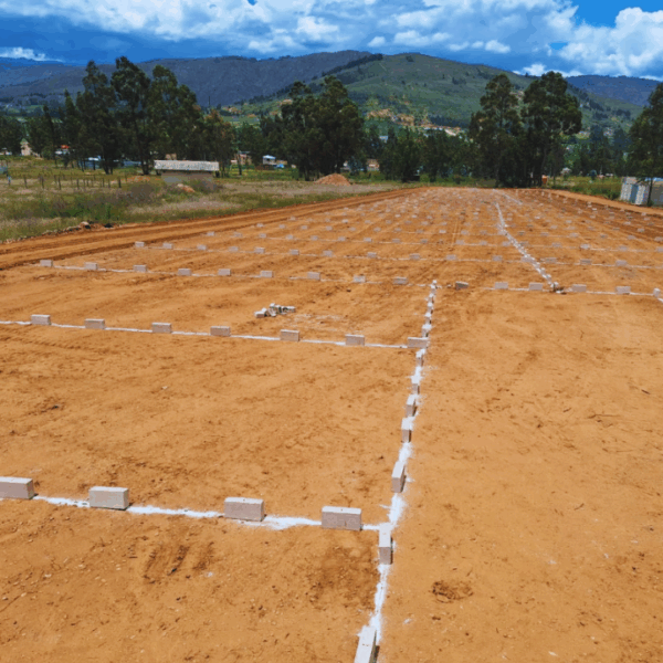 COLPA – RESIDENCIAL SOL DORADO - Imagen 5